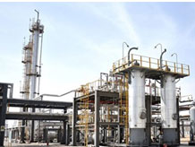 ���C�A������