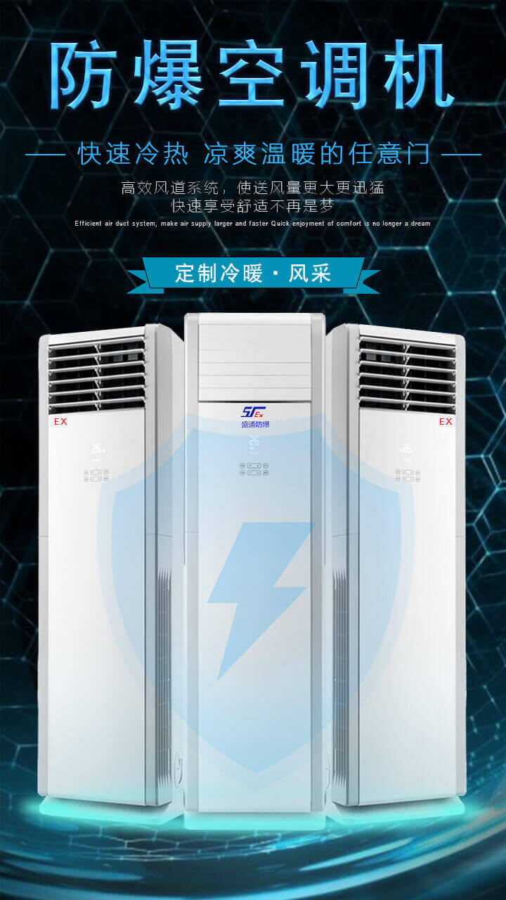 �C����α��Ϸ������{�İ�ȫ������